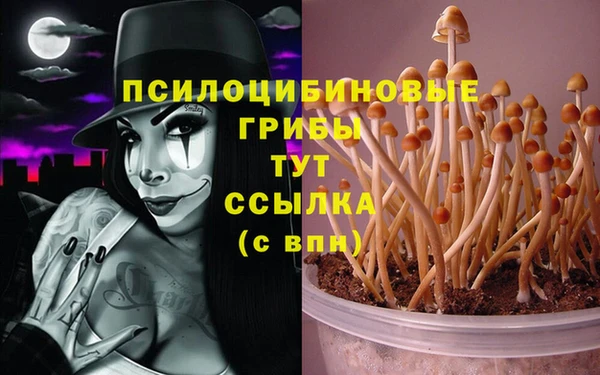 мяу мяу мука Алексин